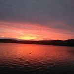 Shelly Wilkinson-Sheldrake - @wilkinsonsheldrake - Instagram