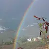 Shelly Willis - @shelly.willis4 - TikTok