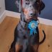 Shelley Windle - Facebook