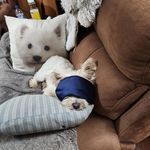 John Shelly Withrow - @john.withrow.581 - Instagram