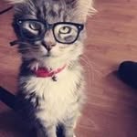 Shelly Wray - @shewra77 - Instagram