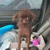 Shelly Wright - @shelly.wright0 - TikTok