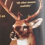 Shelton Jackson - @jacksonshelton60 - Instagram