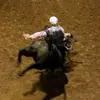 sheltonsmith4 - @shelton.smith8 - TikTok