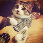 Shen Ling - @shen.ling.733 - Instagram