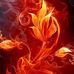 Shena Fox - Facebook