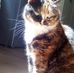 Shena Fox - Facebook