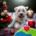Sheena Thomas - Facebook