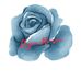 Shenelle Mitchell - Facebook