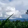 Sheng Lo - @sheng.lao32 - TikTok
