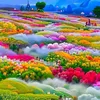 Sheng Vue - @sheng.vue - TikTok