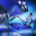 Sheny Perez - Facebook