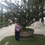 Sheny Pérez - @shenyperezramirez - Instagram