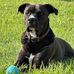 Shep Sheppard - Facebook