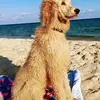 Melissa Shepherd Smith - @melissa.shepherd4 - TikTok