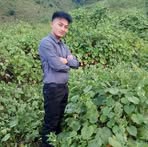 Sher Vang - Facebook