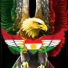Shervan Ghazni - @shervanghazni - TikTok