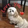 Sherrie Alexander - @sherrie.alexander - TikTok