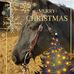 Sheree Armstrong - Facebook
