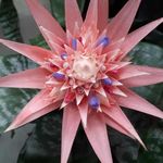 Sheree Davidson - @sheree.davidson.3 - Instagram