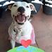Sheree Davison - Facebook