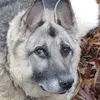 Sherri Downs - @sherri.downs - TikTok