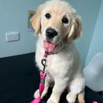 Sheree Evans - @sheree339 - Instagram