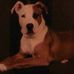 Sheryl Gamble - Facebook
