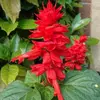 Sheree Hooper - @user293548186216 - TikTok