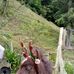 Sheree Horton - Facebook