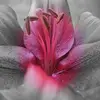 Sheree Johns - @shereejohns - TikTok
