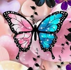 Sherri Kimbrough - Facebook