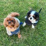 Sheree Lang - @shereelang98 - Instagram