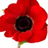 user4528677740757 - @sheree.michelle - TikTok