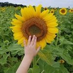 Sheree Morgan - @sheree.morgan.39 - Instagram