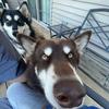 Share.phelps - @share.phelps - TikTok