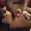 Sherrie Richards - @sherrie.richards7 - TikTok
