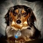 Sheree Stearns Richardson - @shereesrichardson - Instagram