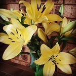 Sheree Robinson - @sheree.robinson.357 - Instagram