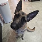 Shari Savage - Facebook