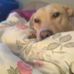 Sherry Shea - Facebook