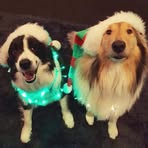 Sheree Sutton - Facebook