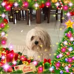 Sheree Sutton - Facebook