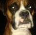 Sherie Ward - Facebook