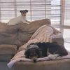 Sheree Webb Woodcroft - @shezawoodcroft - TikTok