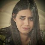 Shereen Awad - @shereen_awad321 - Instagram