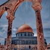 Shereen Awad - @shereen.awad1 - TikTok