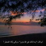 Shereen Ay - @shereen.ayoubi - Instagram