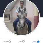 Shereen Ayoub - @ayoub.shereen - Instagram
