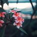 Shereen Ayoub - Facebook